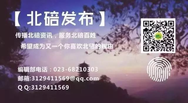 重庆公招事业单位95人,重庆建筑工程职业学院毕业生招聘
