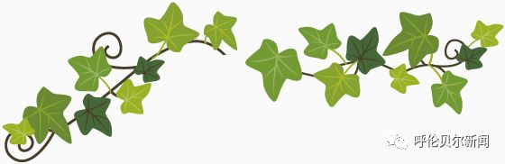 兰舍硅藻泥和合成墙面哪个好,兰舍硅藻泥用设计诠释轻奢的高级