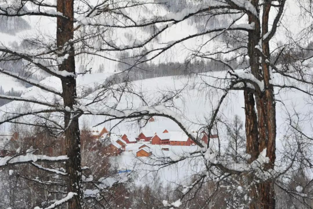 资讯|早春出游天津航空疆内航线100元起特价优惠