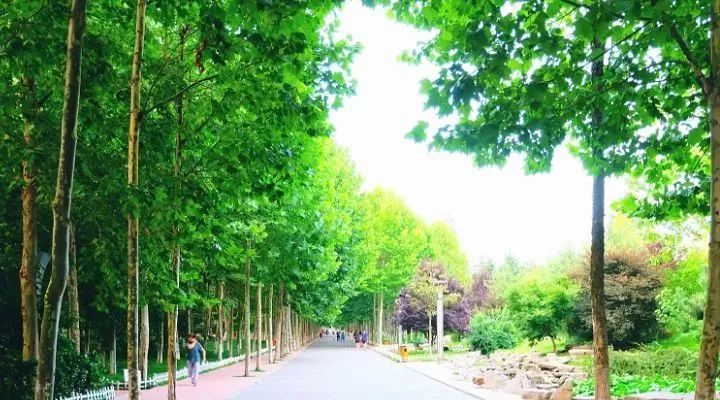 阜阳飞昆明航线,阜阳直飞青岛