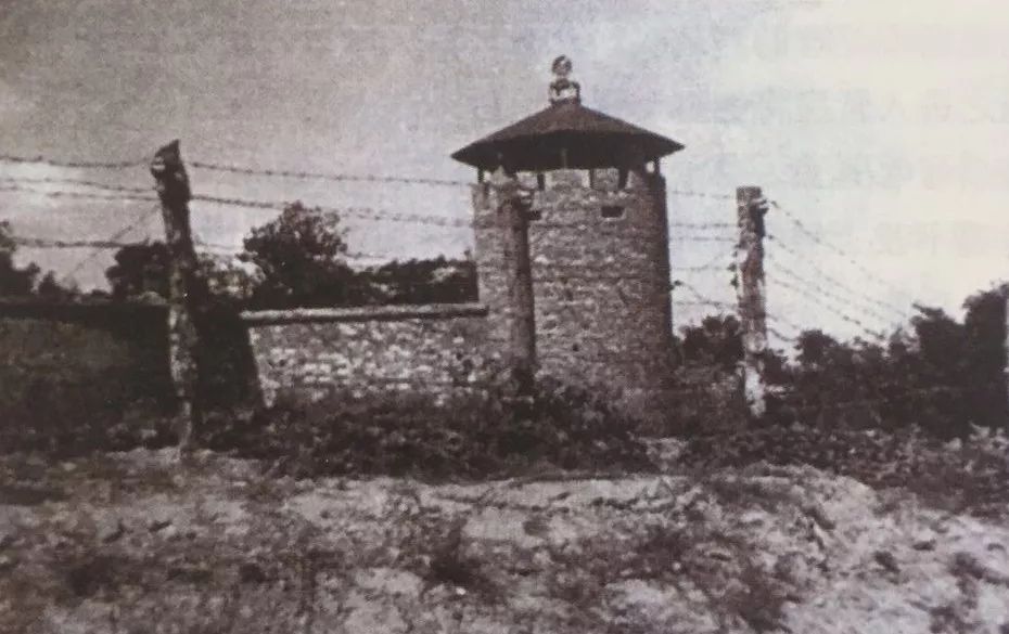 百年沧桑乐道院完整版,沧桑乐道院图片