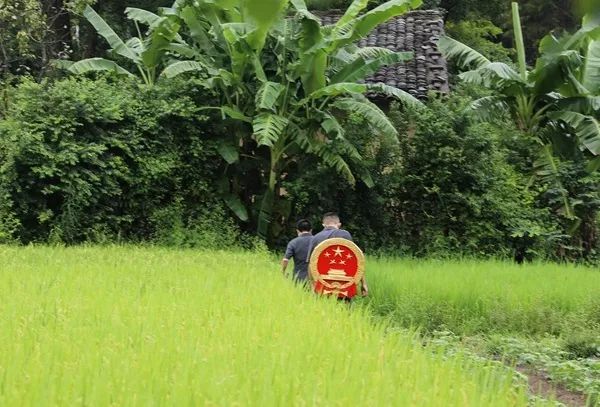 其实，当个法官也没多难