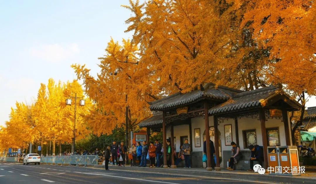 苏州公共交通旅游攻略,苏州旅游地铁攻略路线