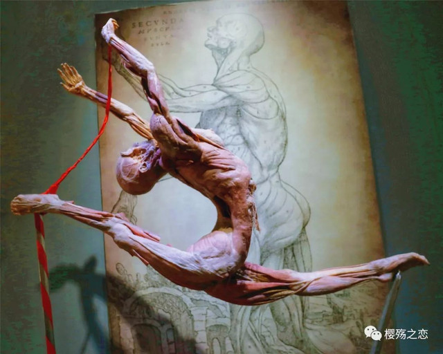 大连金石滩游记,玩转大连金石滩