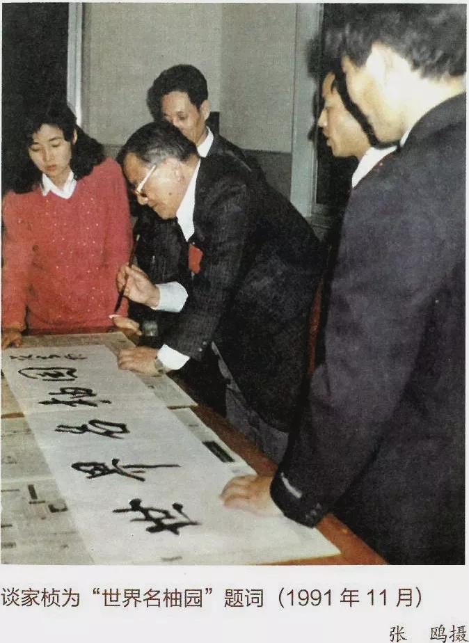 中华第一名柚,柚子中华第一柚