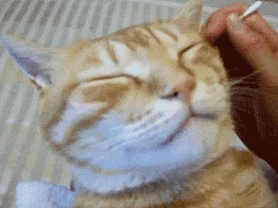 用棉签掏耳朵掏破了怎么处理,棉签掏鼻子会导致颅内感染吗