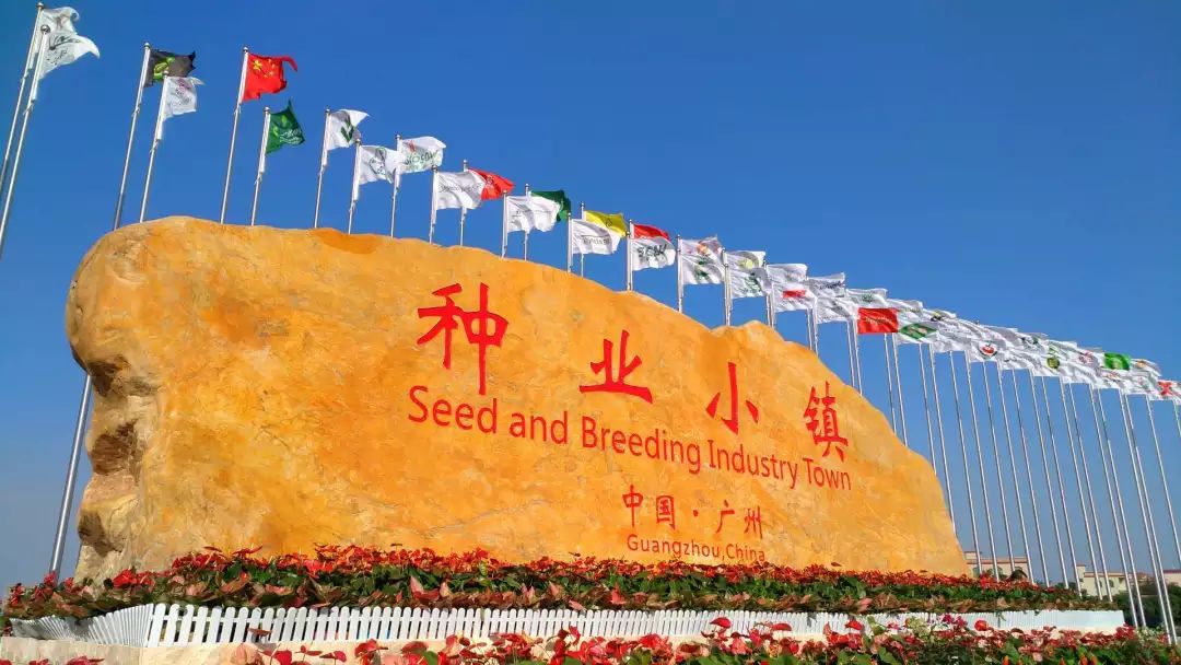 Letsgo！东涌农业生态旅游推广节最后一天~美食花海表演等着你