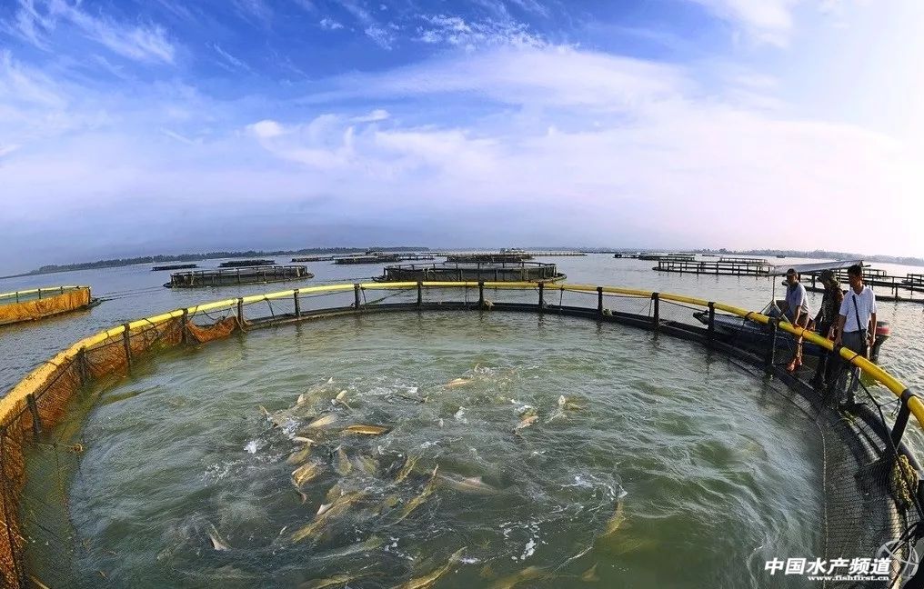 养殖产量翻倍,养殖产量与经济效益密切相关
