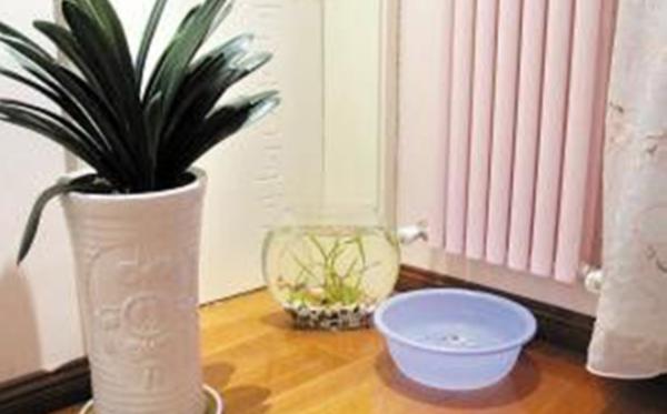 冬季室内干燥教你一招就搞定,秋季空气干燥最佳解决方法