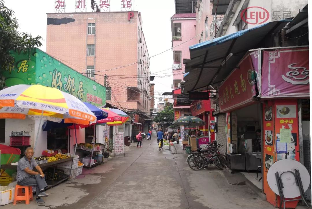 琶洲新洲旧改,新洲村旧村改造规划