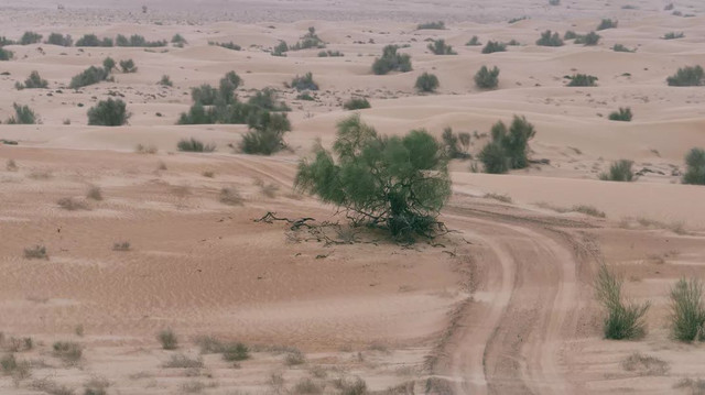 西厢房｜沙漠中的极致野奢，每间都有私家泳池，羚羊会还会来泳池喝水
