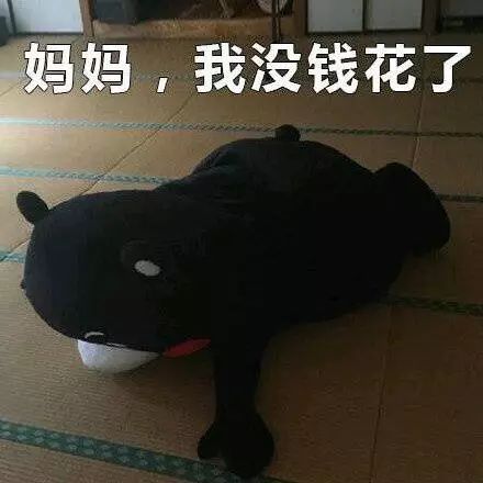 真相很残酷完整视频,真相有多残忍