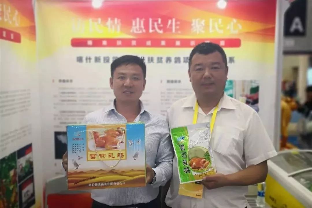 扶贫鸽,扶贫鸽子托起群众致富梦