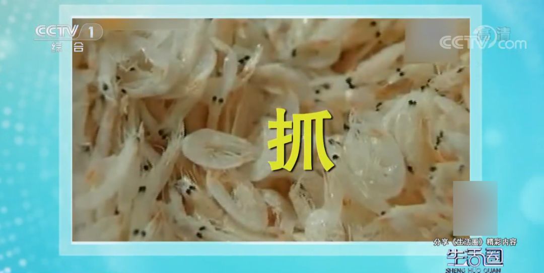 冻虾呈蓝色绿色能吃吗,冻虾变蓝绿色还能吃吗