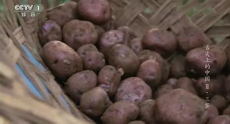 分享家乡美食特产诉说人文历史,分享家乡独特味道