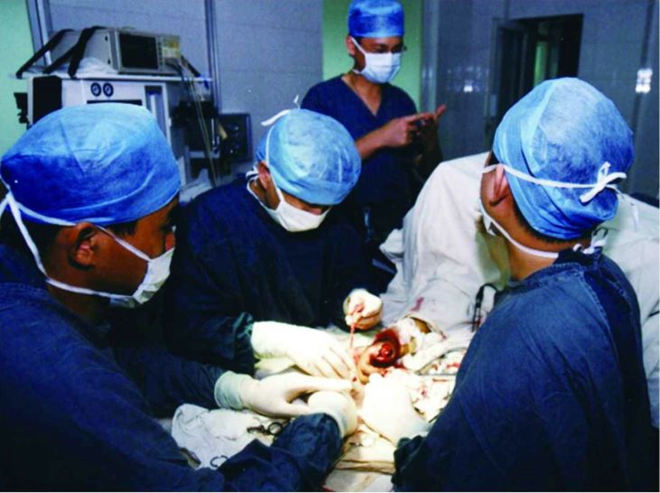 栉风沐雨铸辉煌,栉风沐雨铸华章