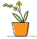 警方提醒双11,警方双11防诈提醒