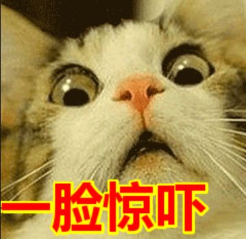 ugg美国和澳大利亚,ugg最新事件