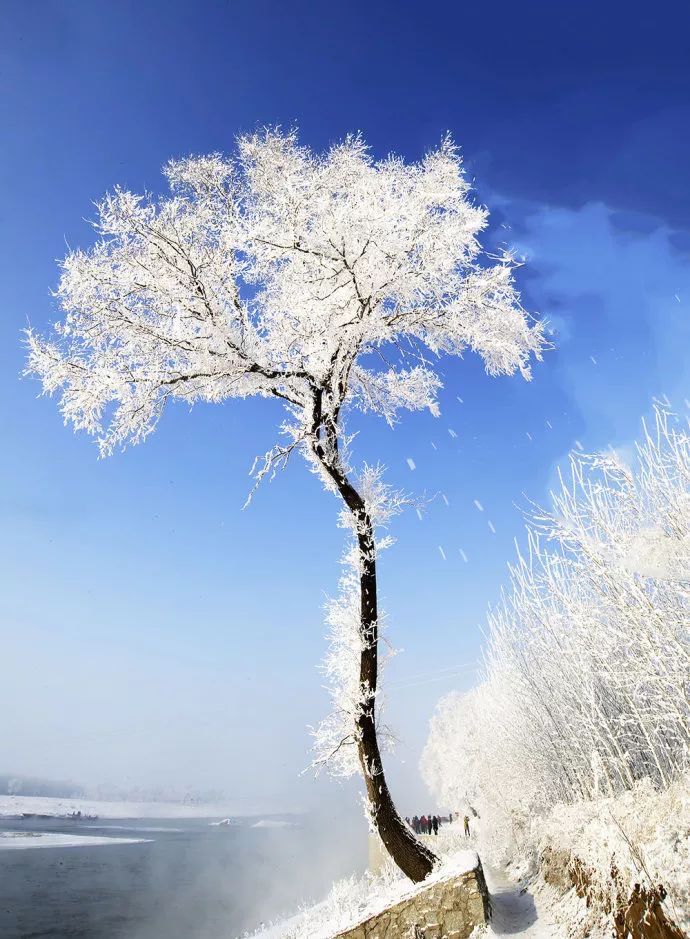 刘烨一家三口野外生活,刘烨旅游