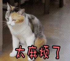 手机号码用了很久的人,手机号码用了20年的人