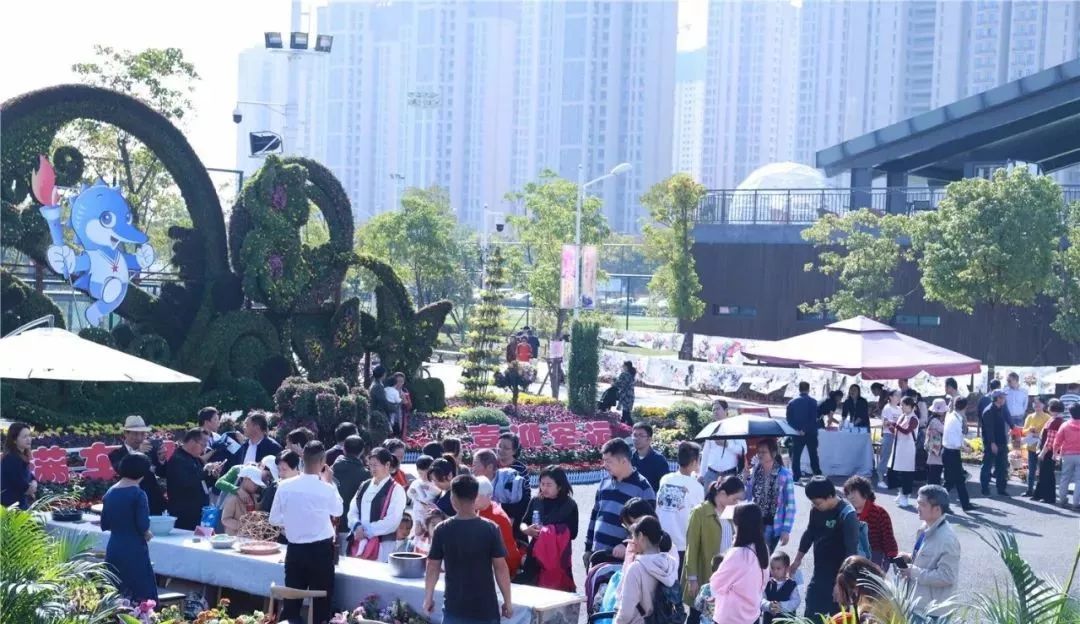 体育中心看展菊,在体育中心玩乐的一天