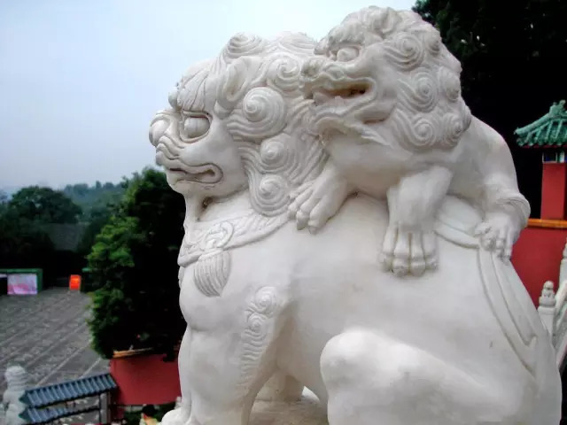 门口石狮子讲究,石狮子公母区别