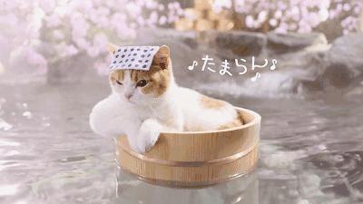 中国温泉之首,中国十大温泉之都