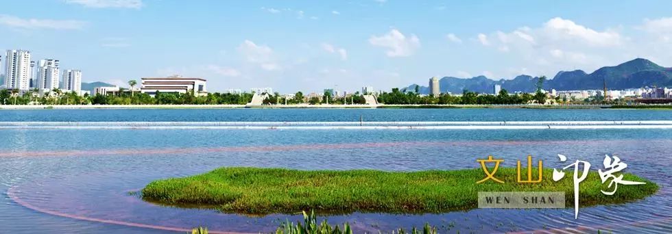 云南昭通市十大强镇排名,全国百强电商县