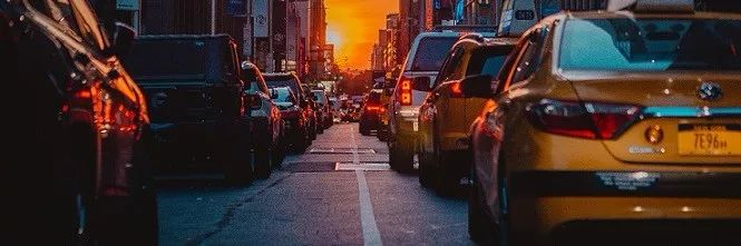 挣扎中的都市中产:我在这里活着,也在这儿死去