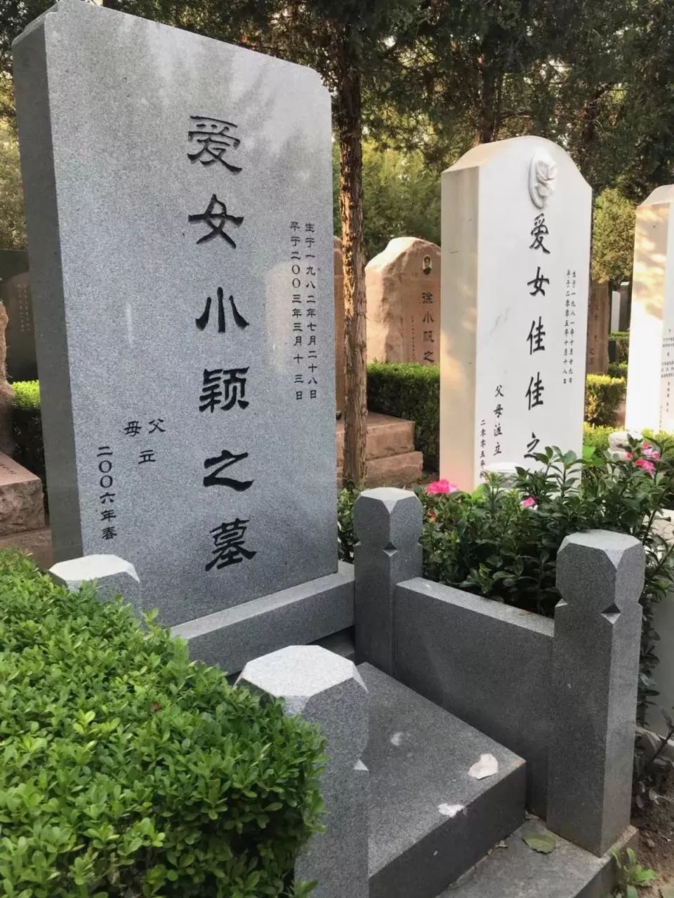 我们永远在一起完整版,我们永远在一起