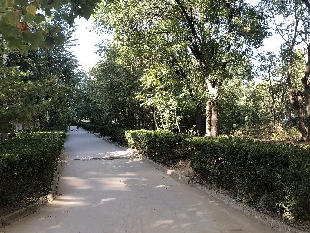 抡起“重拳”拆违建，昌平这个街道获居民点赞！