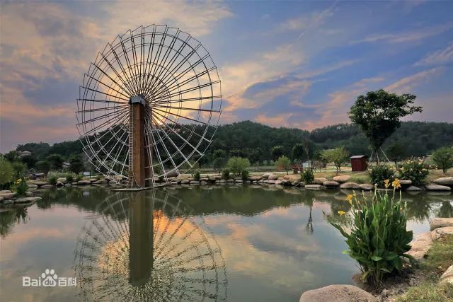 义乌周边这个季节最值得去的地方,义乌必去的打卡地