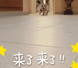 普宁上电动车牌照需要什么证件,普宁购买电动车