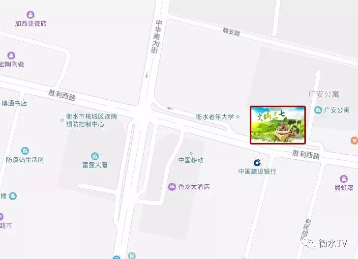 纯正文山三七粉每日一元限量体验,三七粉特价