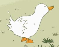 “我太难了！”今天没有一只鸭子能活着走出广西