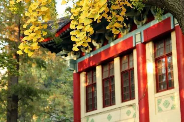 南京最美赏秋地点,南京赏秋之旅