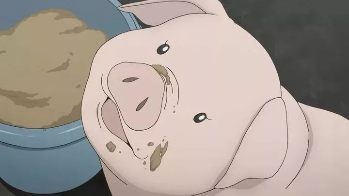 她的《钢炼》明明零差评，为什么还要去养猪？