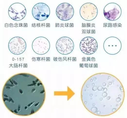 洗白t恤的洗衣液,双12搜索免单洗衣液