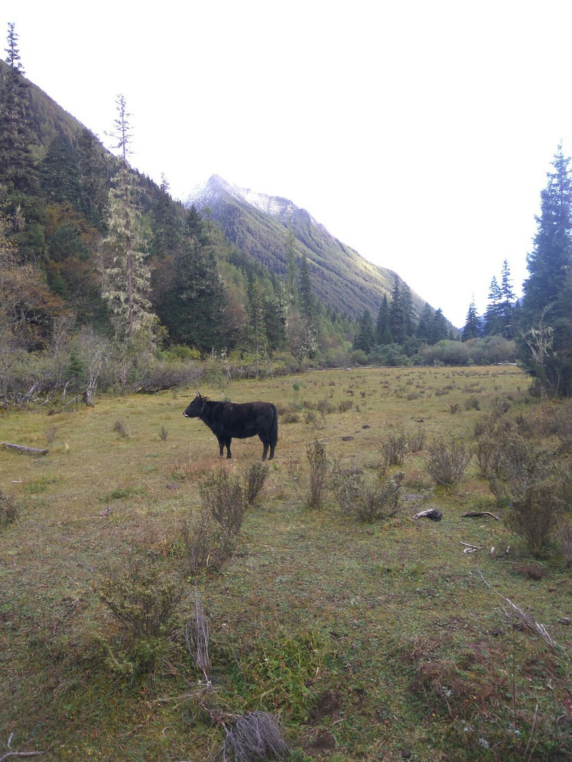 国庆流水账日记,中秋国庆流水账