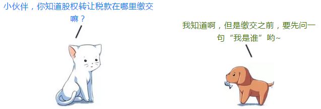 税务部门是怎么核查股权转让涉税,股权转让税务要怎么查