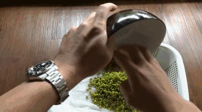 在家种菜,不用土不用肥,“一张纸”就搞定