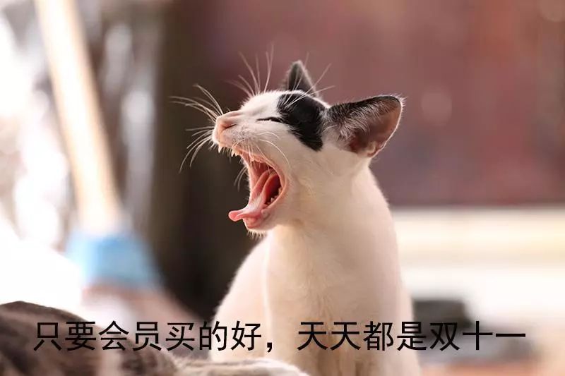 双十一的猫粮是正品吗,双十一的猫粮为什么便宜