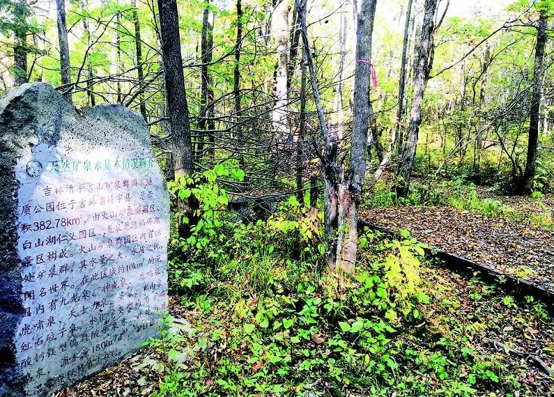 靖宇县中国第一矿泉城,靖宇有几家矿泉水厂