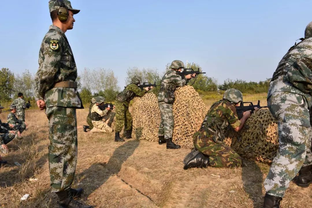 现场直击陆军,直击陆军某旅新年开训