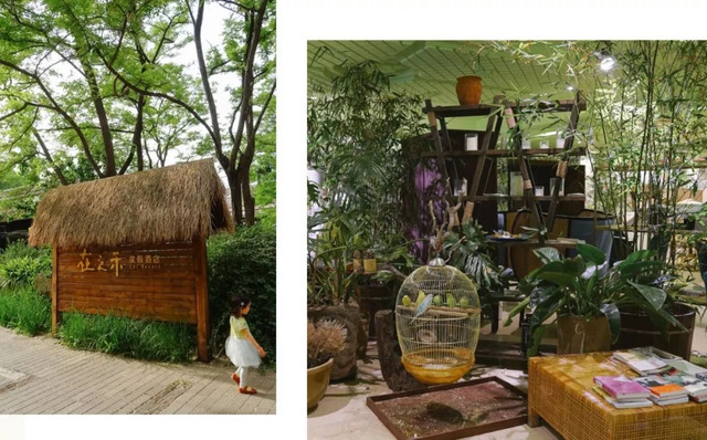 羊驼陪吃早餐，天鹅湖中畅游，藏身北京奥森旁的休憩之地：在之禾