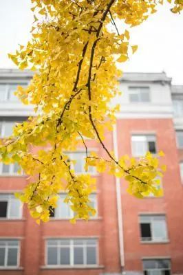 fm101.5,fm101.5鐢靛彴姝屾洸