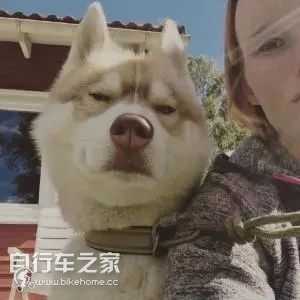 大神，2019山地车技术发展朝哪走？