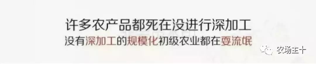他用一块地做火2个产业，在冰葡萄田里把黑豆卖出4000万！