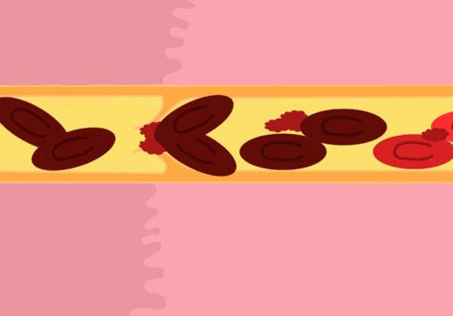 外行吃人参内行吃莲心,外行吃人参内行吃茯苓