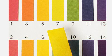 1000ml才100多的发酵水,补水修复效果秒千元大牌,什么来头?